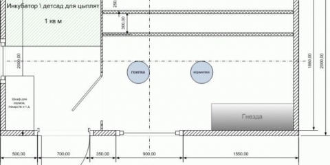 Kako napraviti gnijezda u kokošinjcu